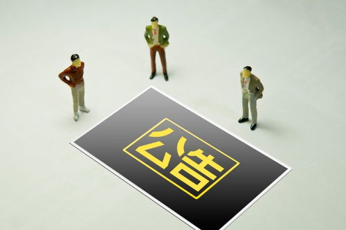 強(qiáng)化信息透明與監(jiān)管協(xié)同 交易所公告與中國日?qǐng)?bào)網(wǎng)信息咨詢的雙向賦能